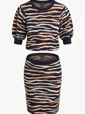 Ann Taylor Navy, White & Brown Zebra Stripe Scoop Neck Sweater